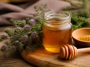 Les bienfaits du miel de thym pour renforcer les défenses naturelles des seniors